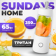 Блендер для смузи Sundays Home 644200016B (белый) - 