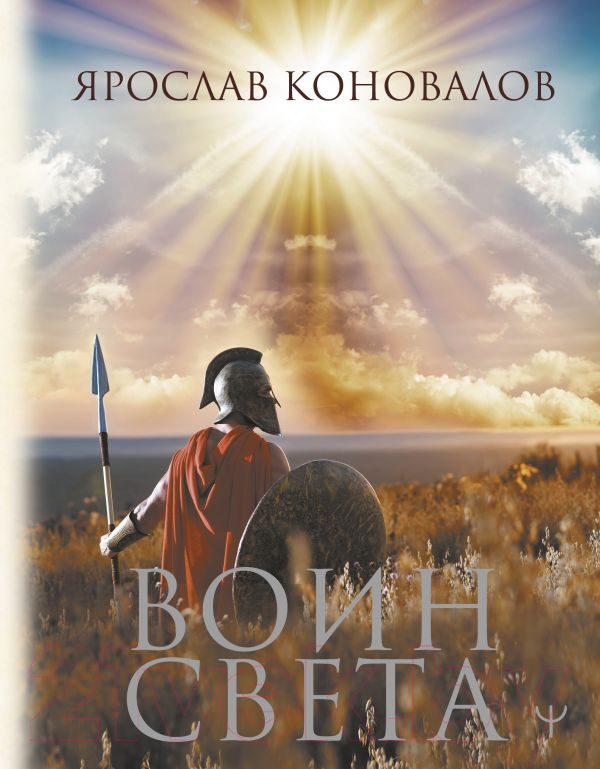 Художественная книга АСТ Воин Света / 9785171596422 (Коновалов Я.)