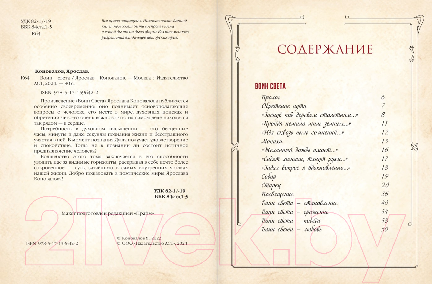Художественная книга АСТ Воин Света / 9785171596422 (Коновалов Я.) — фото 3