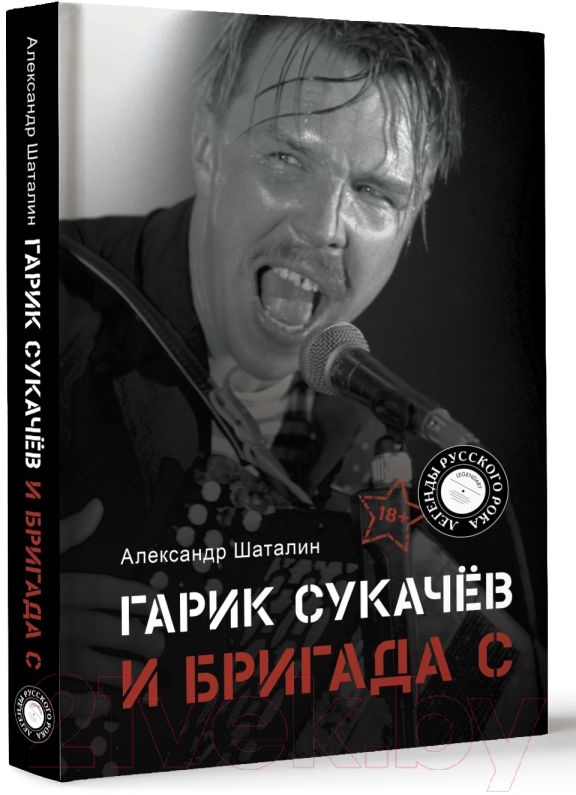 Нехудожественная книга АСТ Гарик Сукачев и Бригада С / 9785171572600 (Шаталин А.В.) — фото 2