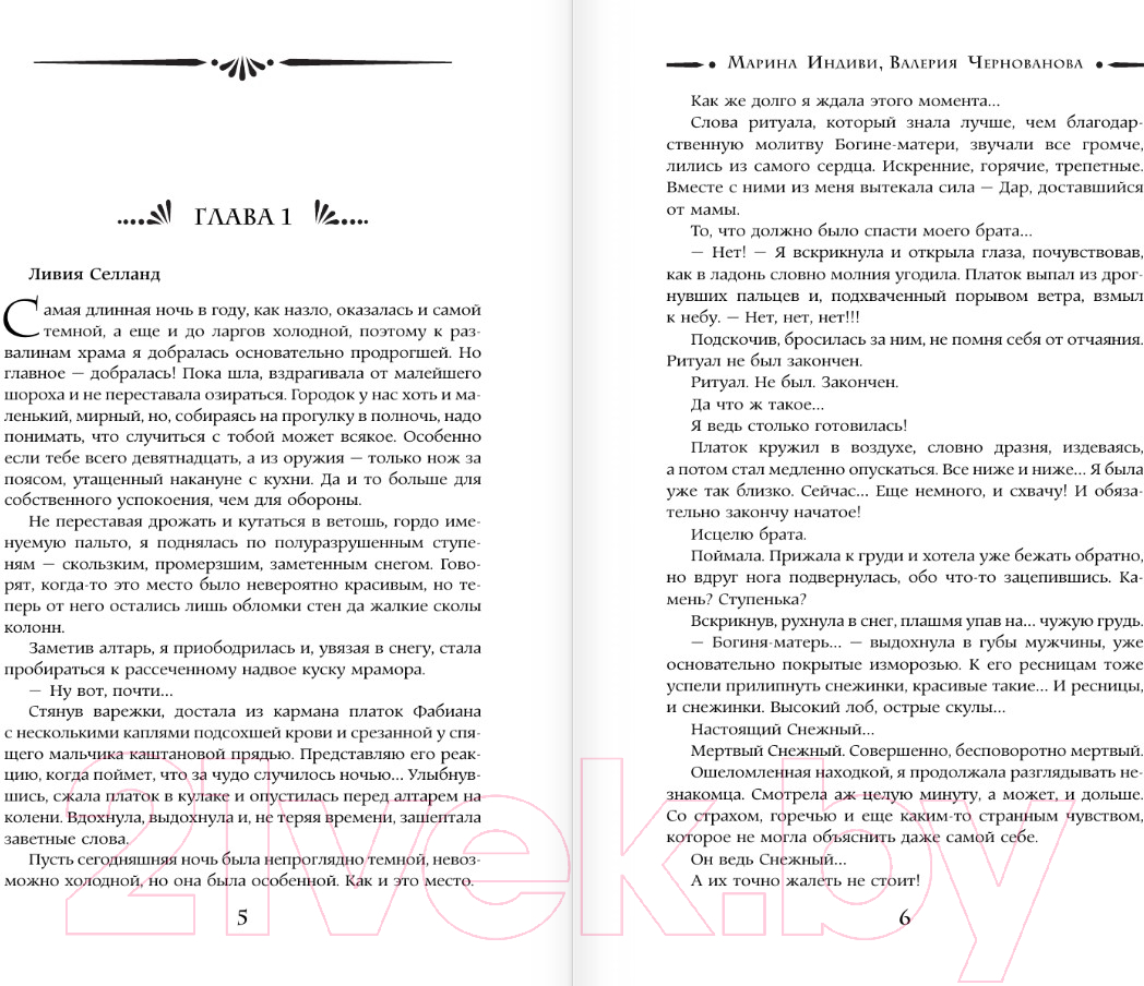 Художественная книга АСТ Бунтарка и Хозяин Стужи / 9785171561079 (Индиви М., Чернованова В.) — фото 3
