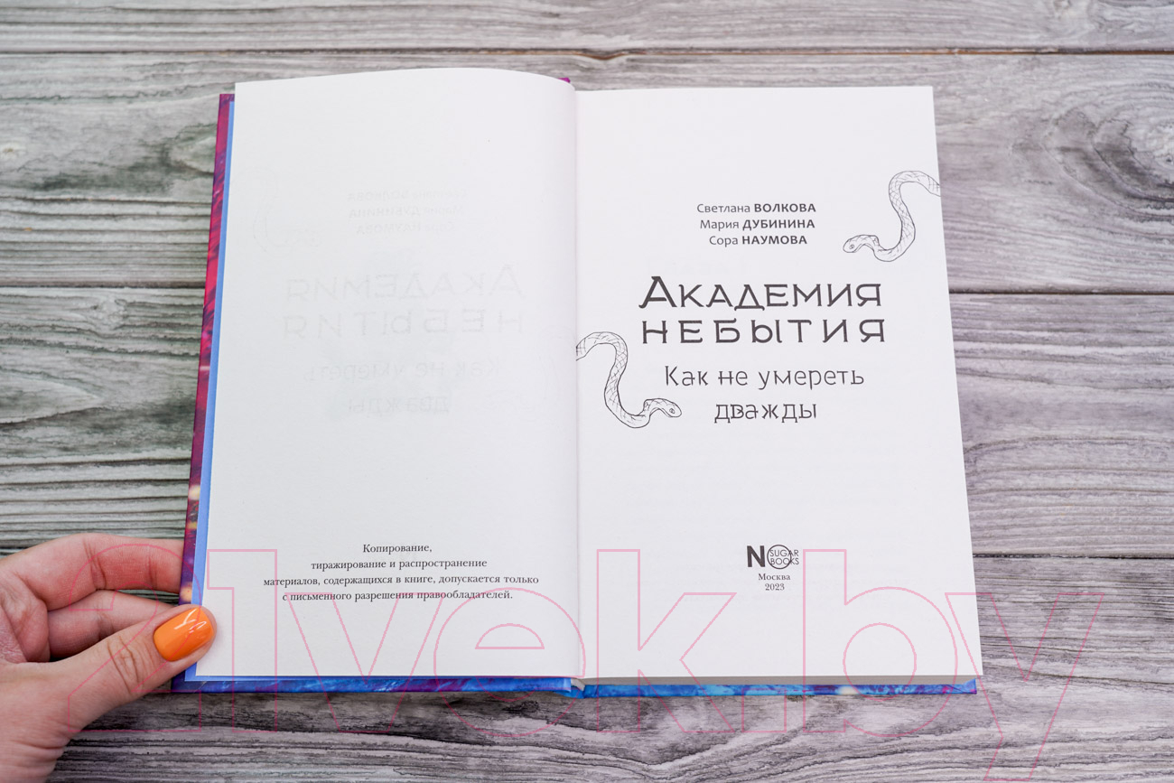 Художественная книга АСТ Академия небытия. Как не умереть дважды / 9785171584085 (Волкова С. и др.) — фото 3