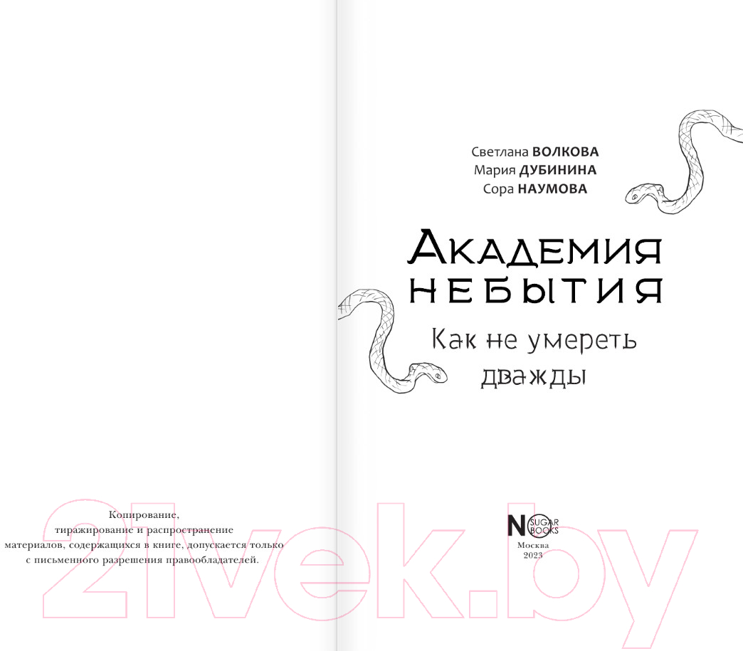 Художественная книга АСТ Академия небытия. Как не умереть дважды / 9785171584085 (Волкова С. и др.) — фото 5