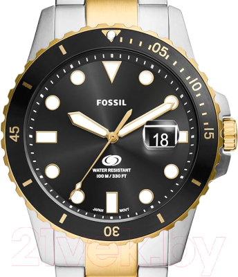 Часы наручные мужские Fossil FS6031