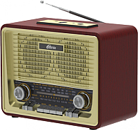 Радиоприемник Ritmix RPR-088 (золото) - 