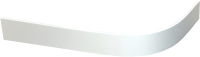 

Экран для душевого поддона RGW, N 80x100 / 16232114-80
