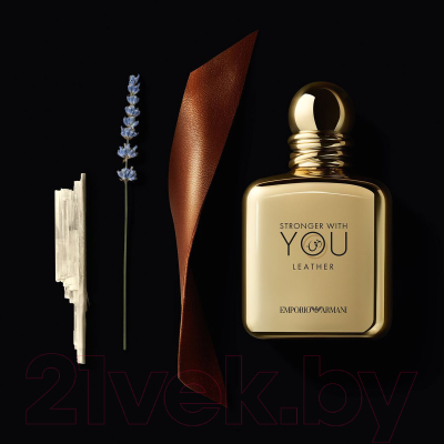 Парфюмерная вода Giorgio Armani Stronger With You Leather (100мл)