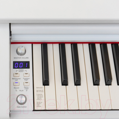 Цифровое фортепиано Rockdale Etude 128 Graded White / A162556