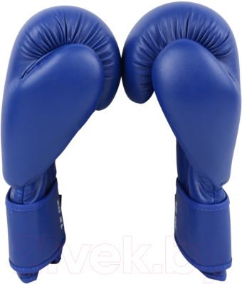 Боксерские перчатки BoyBo Titan IB-23 (10oz, синий)