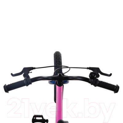 Детский велосипед Maxiscoo Jazz Стандарт Плюс 2024 / MSC-J1632 (розовый матовый)