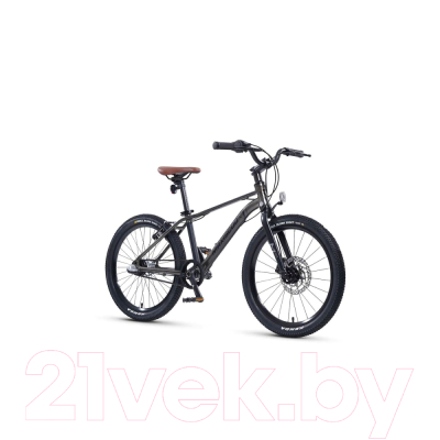 Детский велосипед Maxiscoo 7Bike 20 M700 2024 / MSC-M7-2006P (графит)