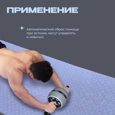 Ролик для пресса Proiron РПИ01 (серый/голубой)