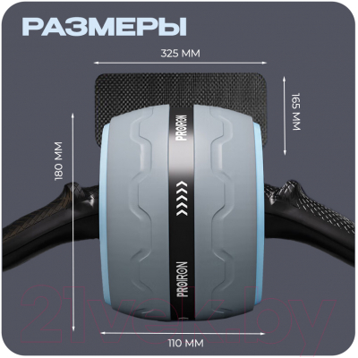 Ролик для пресса Proiron РПИ01 (серый/голубой)