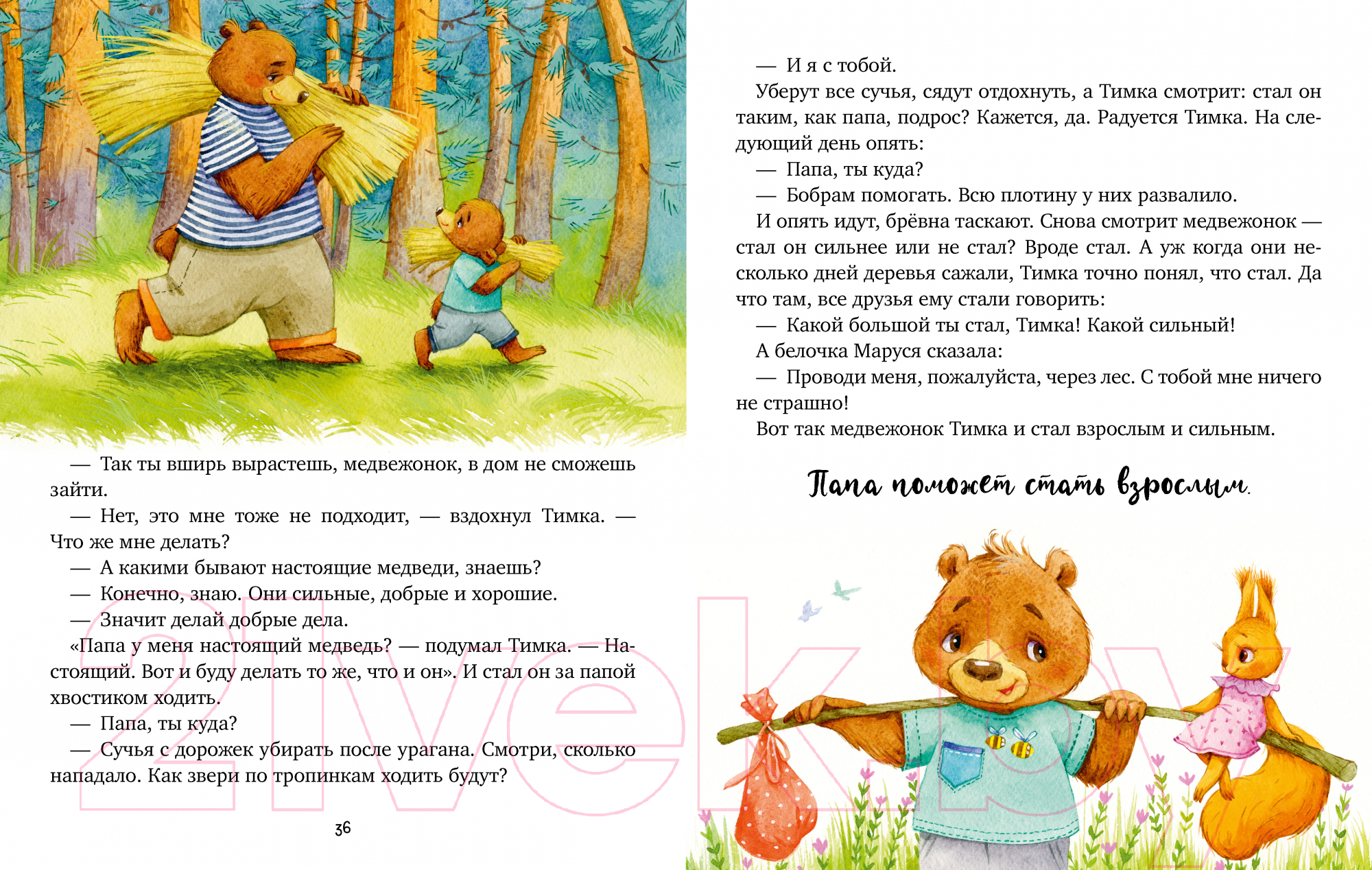 Художественная книга CLEVER Семейные ценности. Мой папа самый лучший / 9785002116454 (Ульева Е.) — фото 6