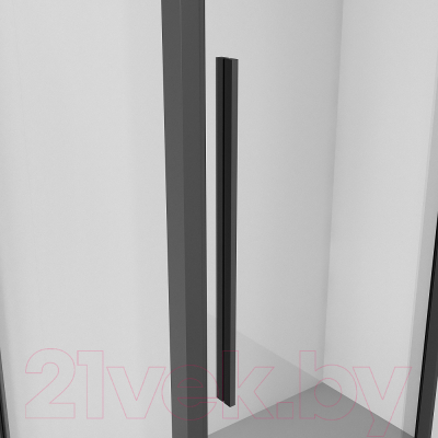 Душевая дверь Niagara NG-84-12AB 120x195 (черный матовый/прозрачное стекло)