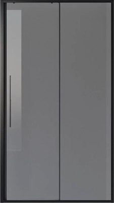 

Душевая дверь, NG-85-12TB 120x195