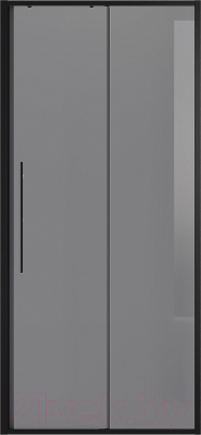 Душевая дверь Niagara NG-85-10TB 100x195 (черный матовый/тонированное стекло)