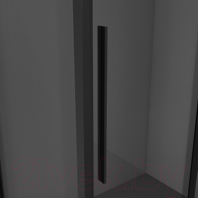Душевая дверь Niagara NG-85-10TB 100x195 (черный матовый/тонированное стекло)