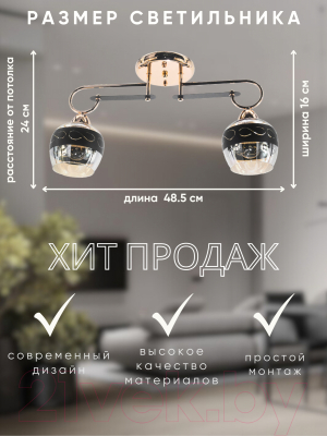 Потолочный светильник Aitin-Pro НПБ 02-2x60-101 / 6063/2 (золото/черный)