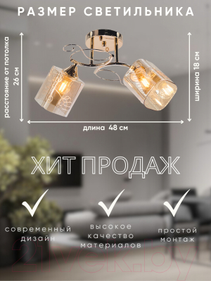 Потолочный светильник Aitin-Pro НПБ 02-2x60-101 / 6079/2 (золото)