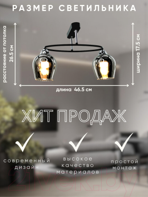 Потолочный светильник Aitin-Pro НПБ 02-2x60-101 / 8064/2 (черный/хром)