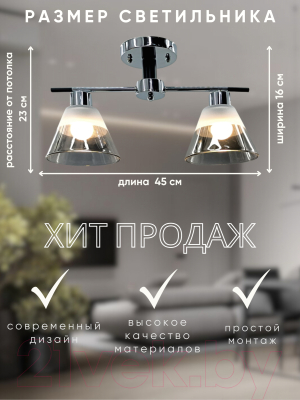 Потолочный светильник Aitin-Pro НПБ 02-2x60-101 / 9113/2 (хром/черный)