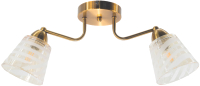 Потолочный светильник Aitin-Pro НПБ 02-2x60-102 / 70036/2 (бронза) - 