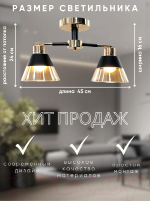 Потолочный светильник Aitin-Pro 02-2x60-105 / 9080/2 (золото/черный)