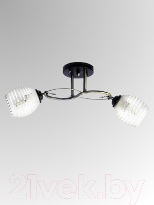 Потолочный светильник Aitin-Pro НПБ 02-2х60-101 / A3770/2 (бронза/черный)