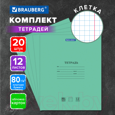 Набор тетрадей Brauberg Extra / 880068 (20шт)