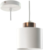 Потолочный светильник Aitin-Pro НСБ 01-60-101 / 8824/1 (медный/белый) - 