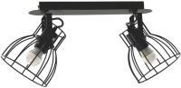 Потолочный светильник Aitin-Pro НПБ 02-2x60-102 / P8544/2 (черный) - 