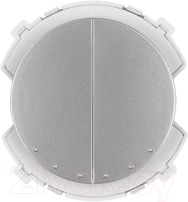 Изображение товара Выключатель TDM Байкал / SQ1819-0333 (платина)