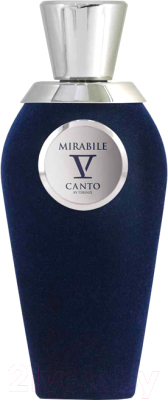 Парфюмерная вода V Canto Mirabile (100мл)