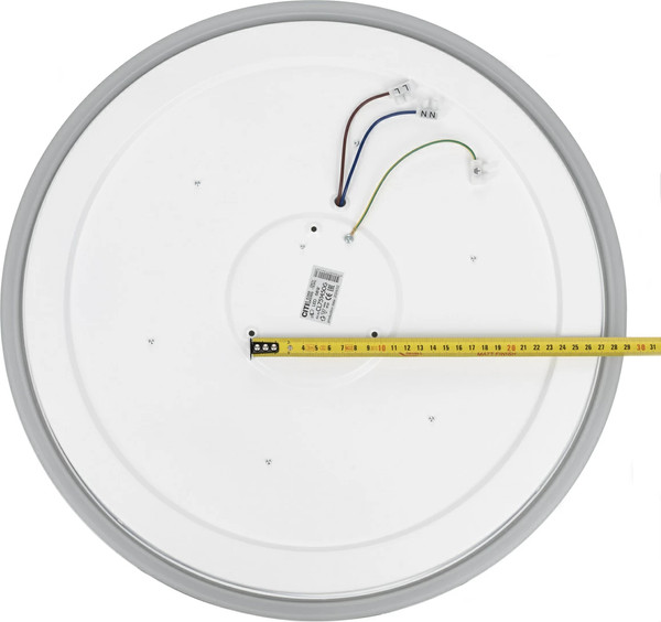 Изображение товара Потолочный светильник Citilux Boss CL751450G