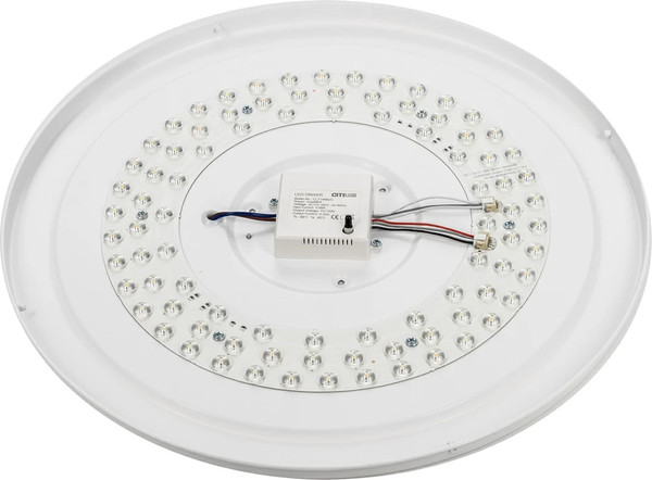 Изображение товара Потолочный светильник Citilux Boss CL751450G