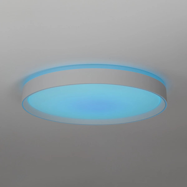 Изображение товара Потолочный светильник Citilux Boss CL751450G