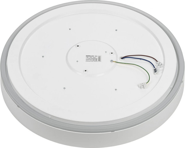 Изображение товара Потолочный светильник Citilux Boss CL751450G
