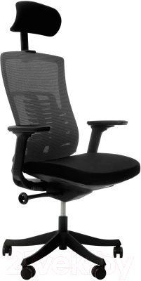 Кресло офисное Sparx Raze Black A62-1 (черный)