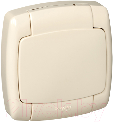 

Розетка Schneider Electric, Рондо RA16-112B-SI