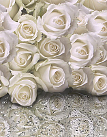 Фотообои листовые Citydecor Розы с каплями росы (200x254) - 