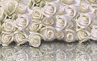 Фотообои листовые Citydecor Розы с каплями росы (400x254) - 