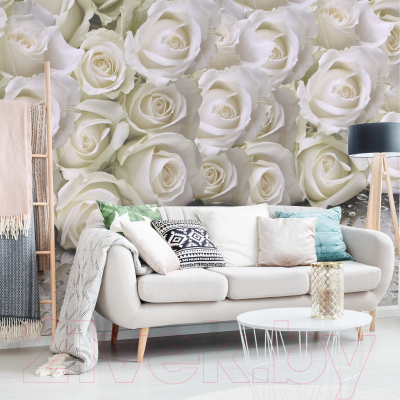 Фотообои листовые Citydecor Розы с каплями росы (400x254)
