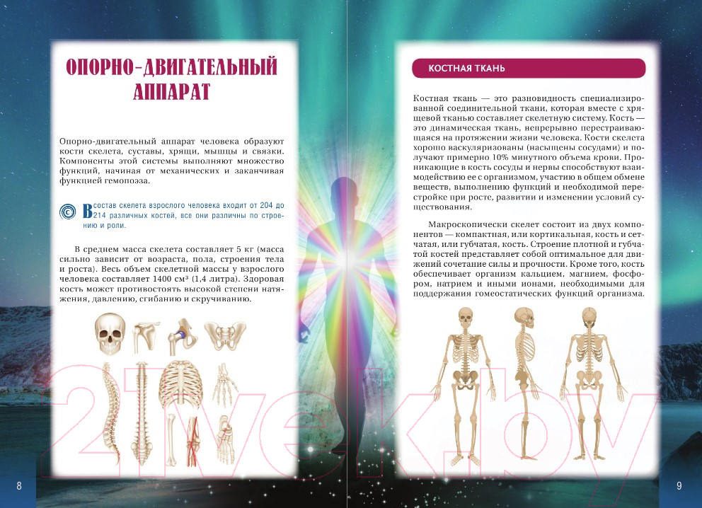 Нехудожественная книга АСТ Атлас информационной медицины / 9785171594305 (Коновалов С.С.) — фото 4