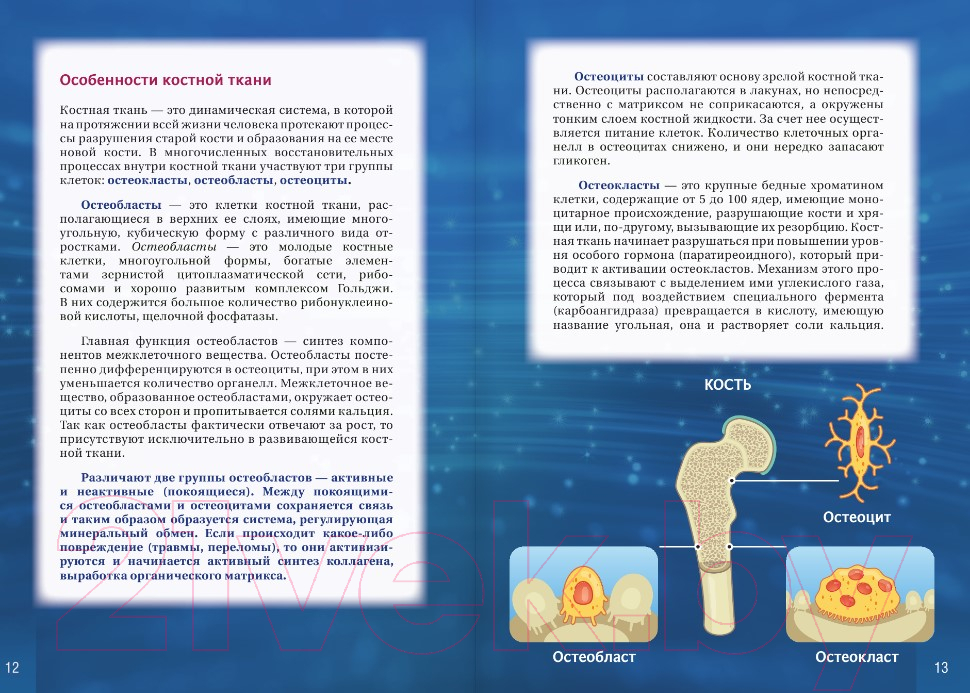 Нехудожественная книга АСТ Атлас информационной медицины / 9785171594305 (Коновалов С.С.) — фото 6