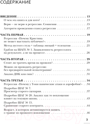 Книга АСТ 12 шагов в прошлое и 13 в будущее / 9785171573799 (Кляйн В.В.)