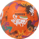 Футбольный мяч Torres Winter Street / F023285 (размер 5) - 