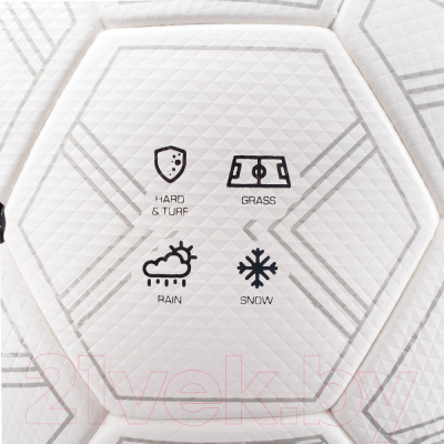 Футбольный мяч Torres T-Pro / F323995 (размер 5)
