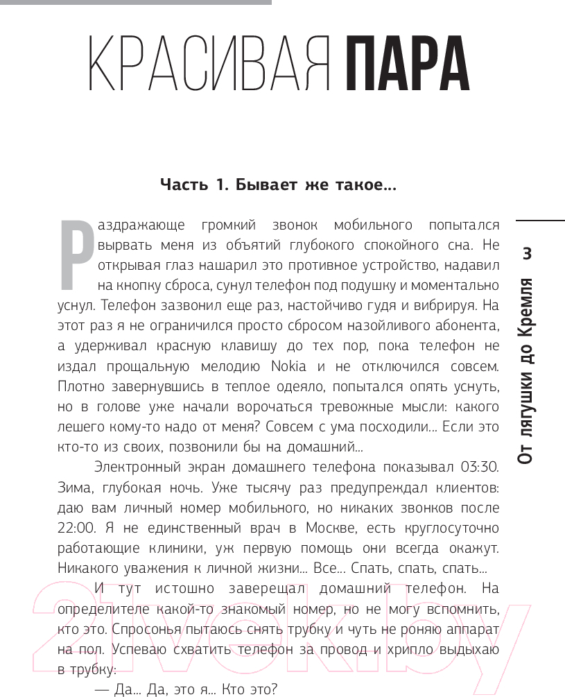 Художественная книга АСТ От лягушки до Кремля. Новые приключения Семена Петровича (Перепечаев К.А.) — фото 2