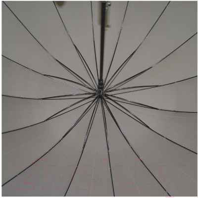 Зонт складной Ame Yoke RS716 (серый)